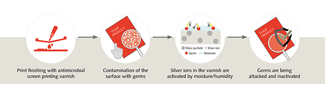 Mode of action of the antimicrobial varnishes